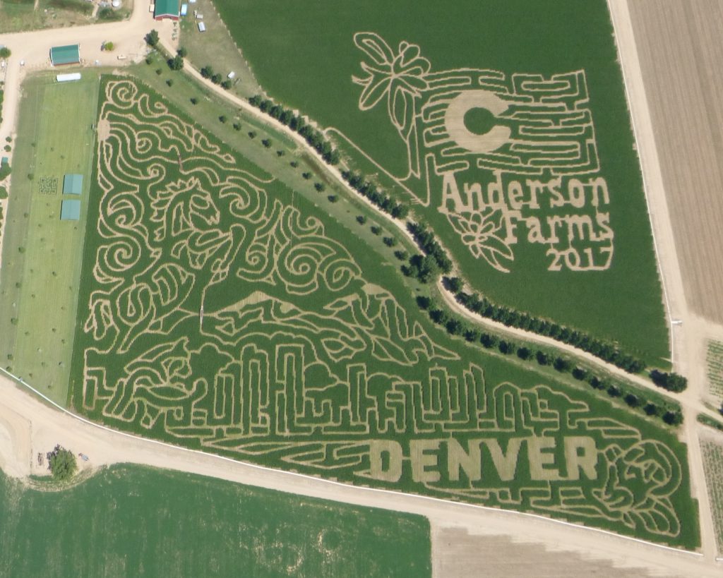 Corn Maze Anderson FarmsAnderson Farms