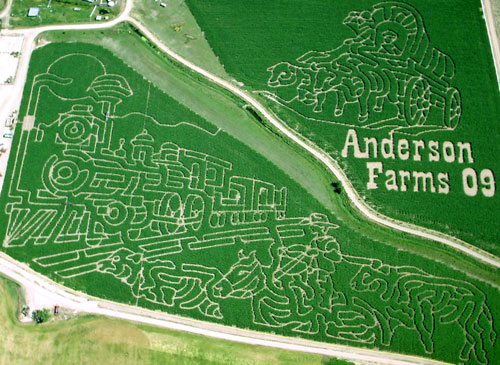 Corn Maze Anderson Farms Corn Maze Anderson Farms