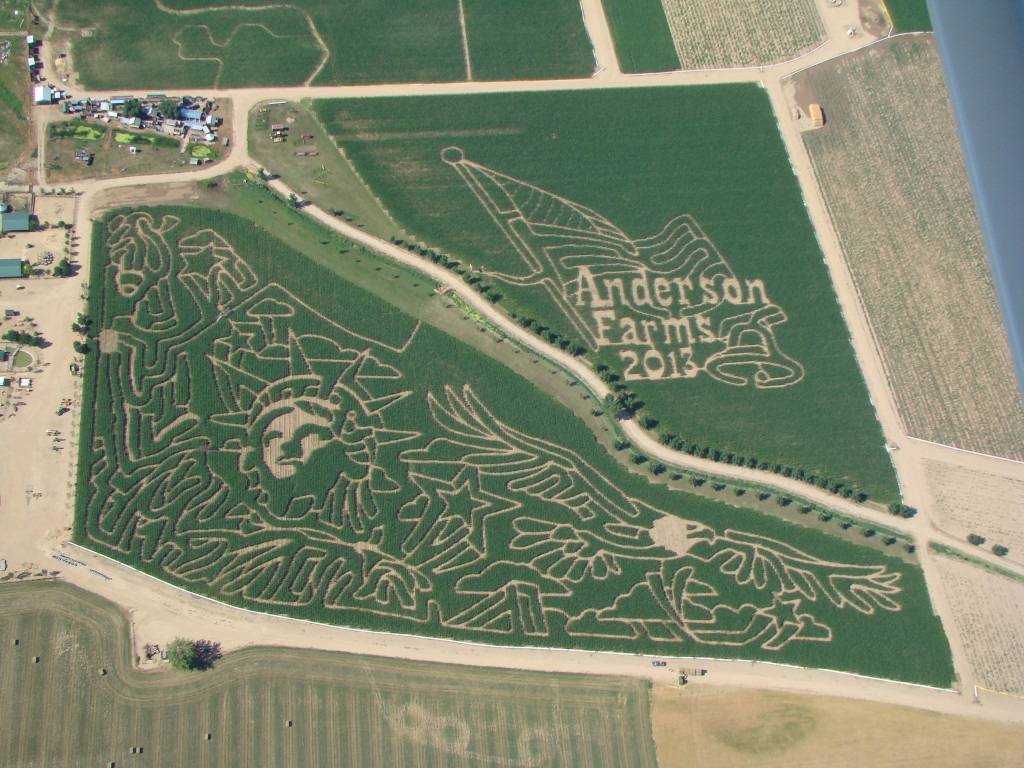 Corn Maze Anderson Farms Corn Maze Anderson Farms