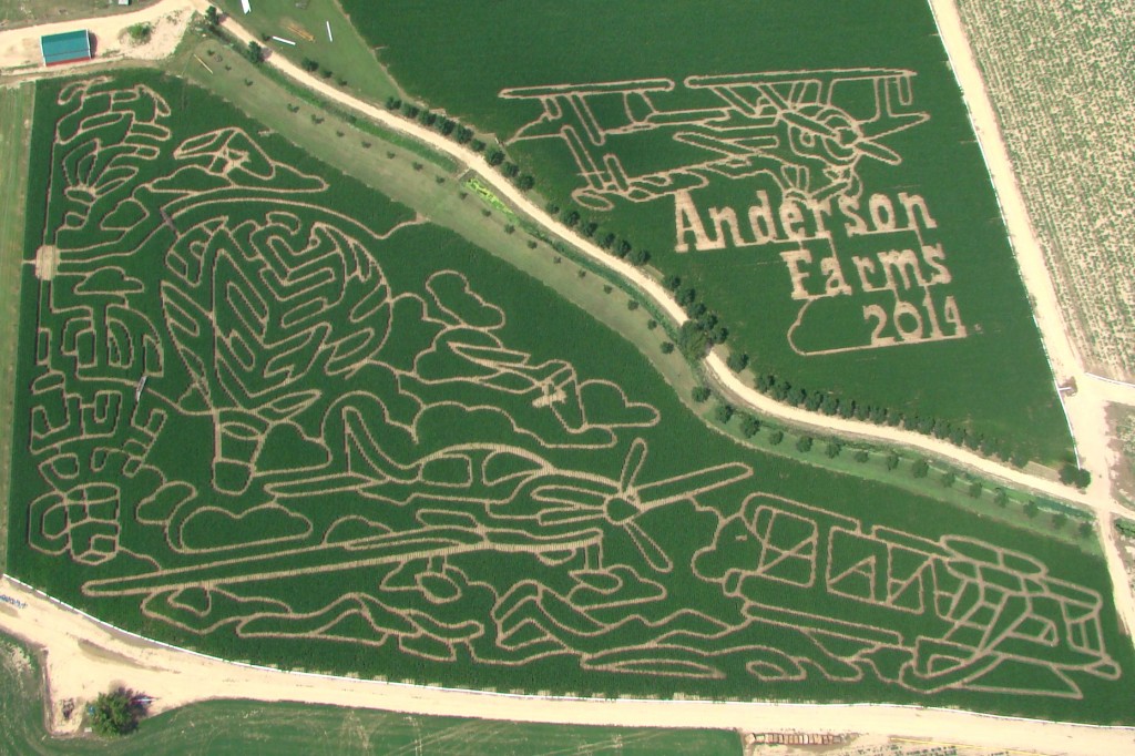 Corn Maze Anderson Farms Corn Maze Anderson Farms