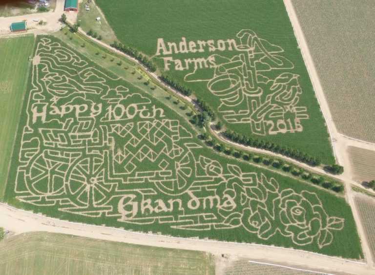 Corn Maze Anderson Farms Corn Maze Anderson Farms