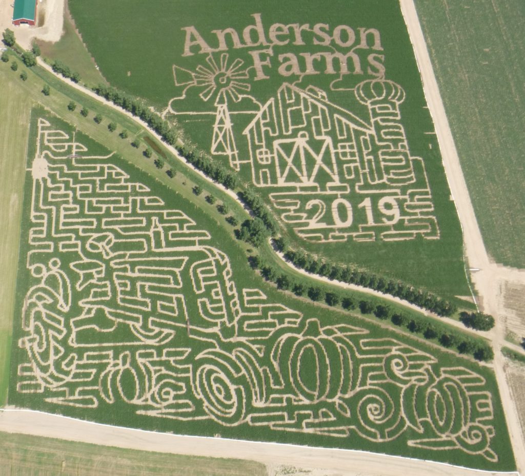 Corn Maze Anderson Farms