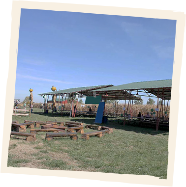 large pavilions