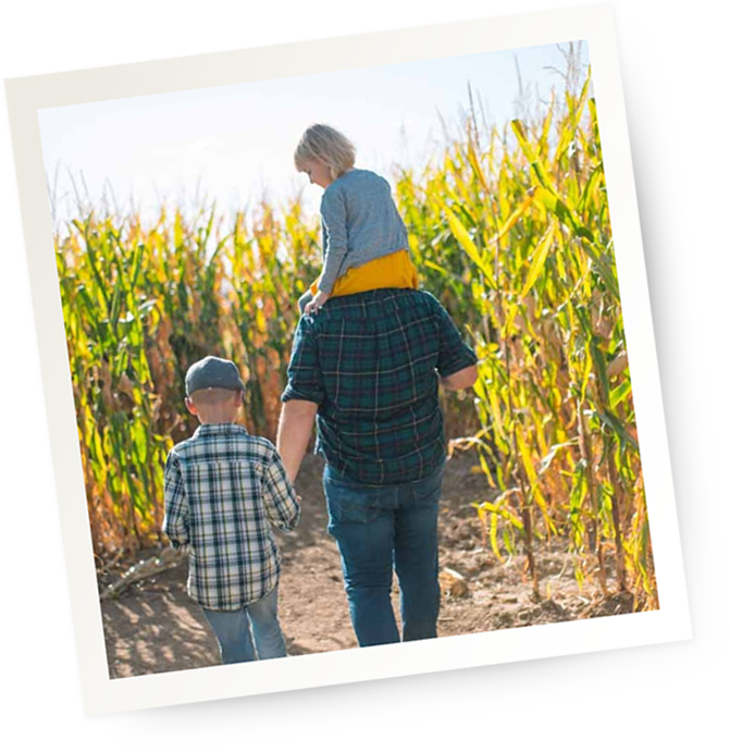 father with kids in cornfield