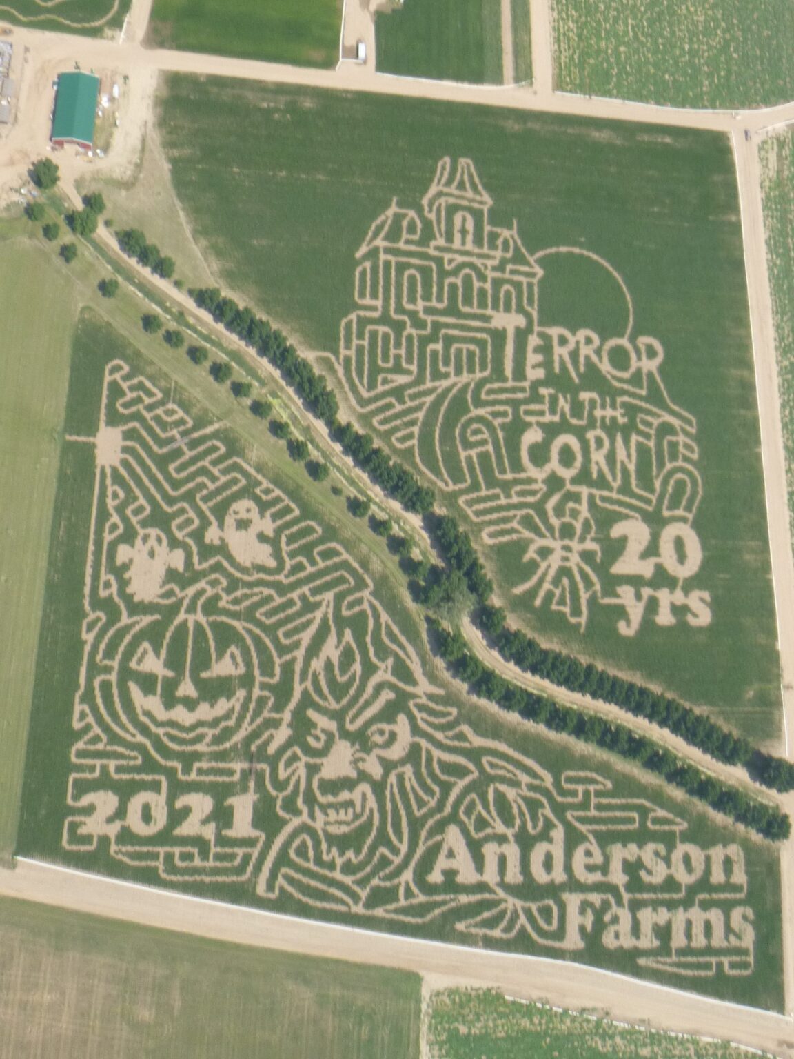 Corn Maze Anderson Farms